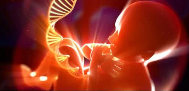 在中国获得广泛支持的胚胎遗传筛选，为何在他国遭冷遇